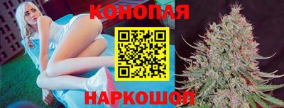 мяу мяу мука Кингисепп