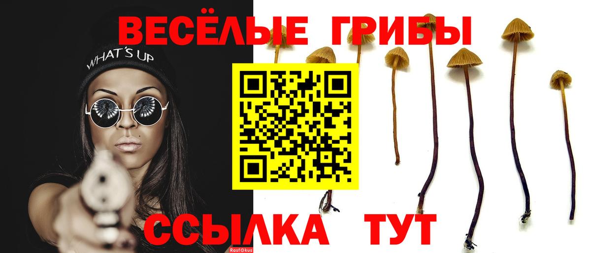 Галлюциногенные грибы Psilocybe  Вход с VPN  Ефремов  Галлюциногенные грибы Cubensis 